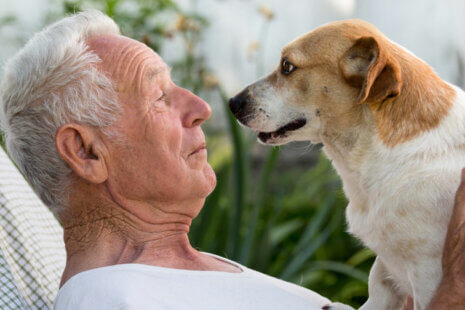 An elderly man has found the perfect dog breed