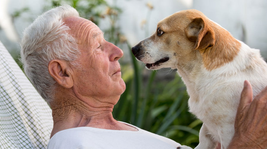 An elderly man has found the perfect dog breed