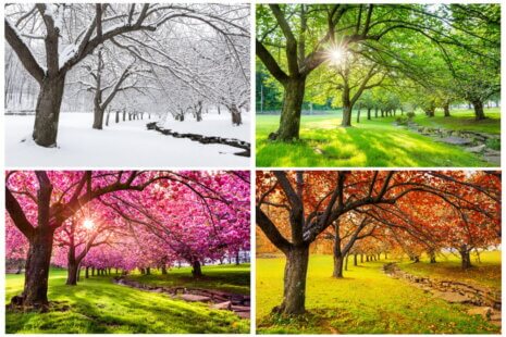 Seniors adapt to seasonal changes for better health and comfort.
