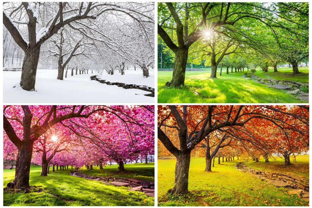 Seniors adapt to seasonal changes for better health and comfort.